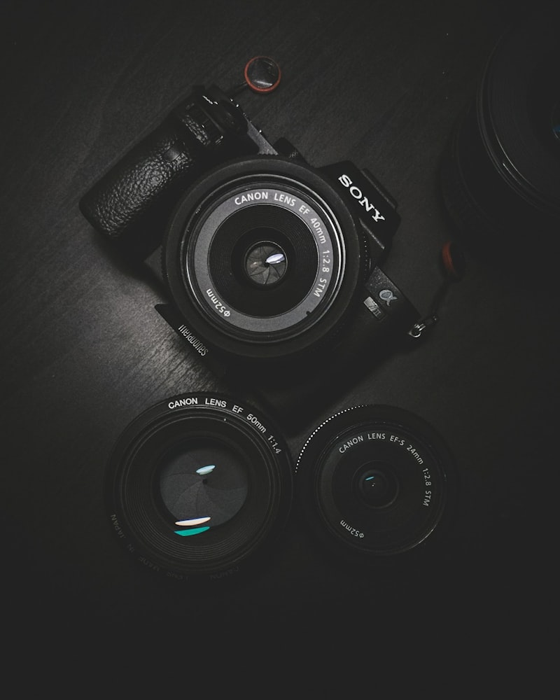 Escort Photography: How to Get Stunning Profile Photos