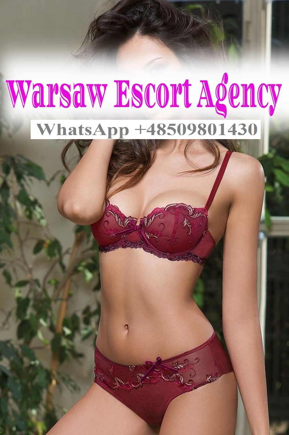 Nina Escort Warsaw - Escort in Warsaw, Poland